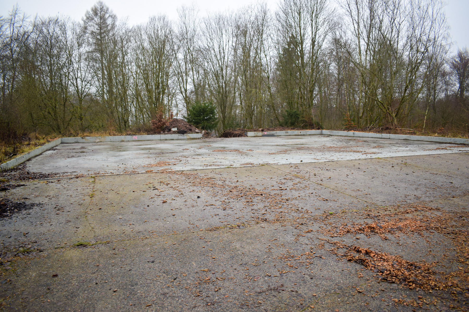Die Fundamente der einstigen Hallen werden heute von der Forst genutzt