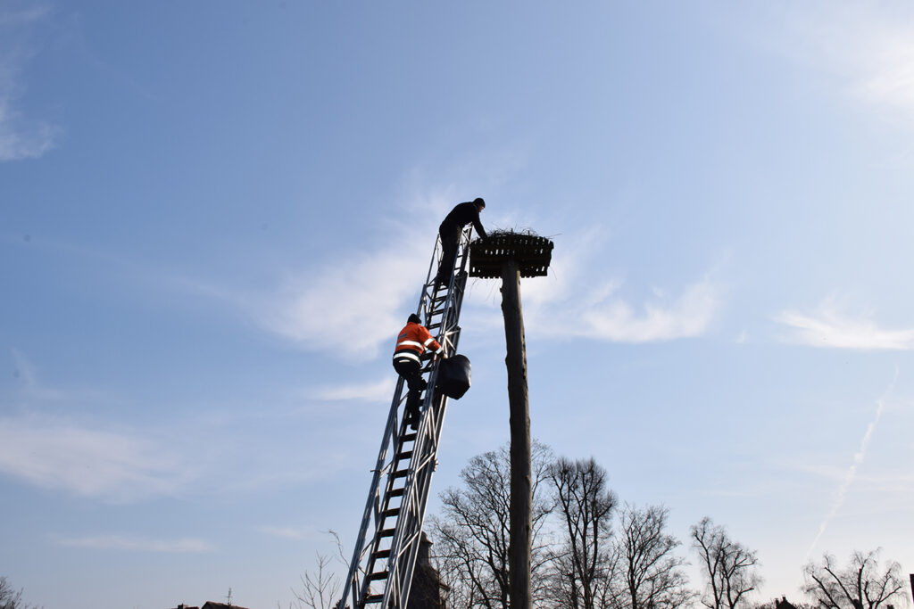 Norbert Plichta hilft Udo Kühn bei der Ausbesserung des Storchennestes