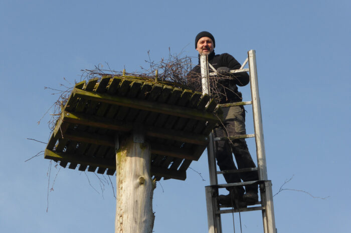 Neues Zuhause für die Störche?