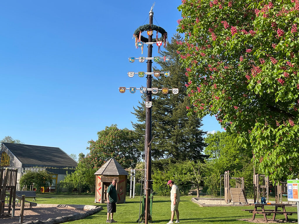 Mitglieder des Solling- u. Heimatvereins Boffzen richten den Maibaum auf