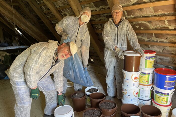 Saubere Kinderstube für das „Große Mausohr“