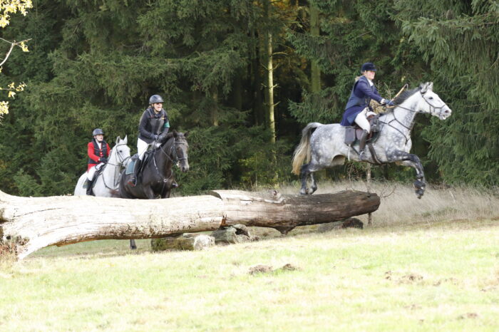 Ein Fest für Pferde, Hunde und Naturfreunde zwischen Neuhaus und Silberborn