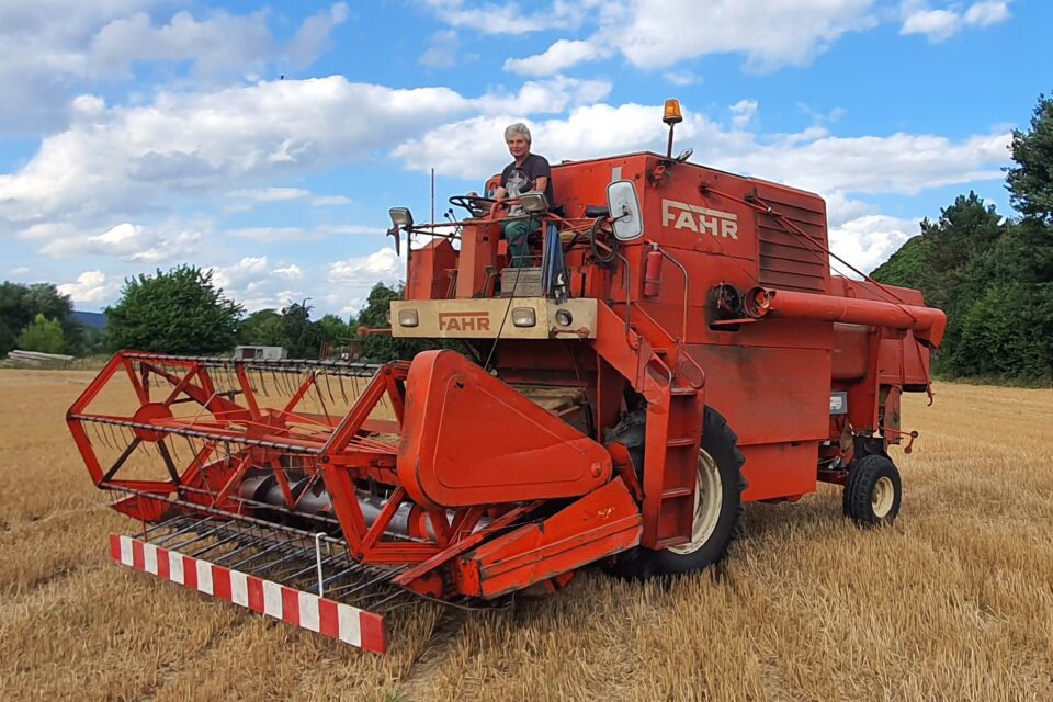 Mit dem Oldtimer durch den Hafer